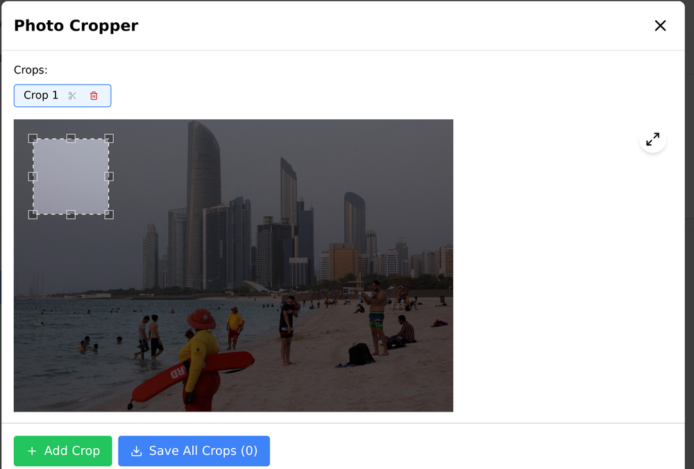Precision crop editor in the full investigator UI, isolating a detail from a wider photo before analysis